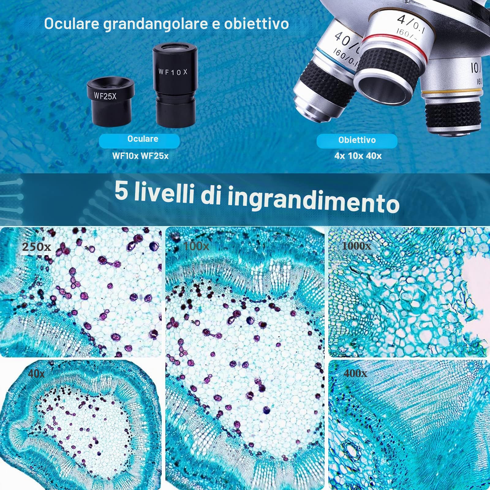 Microscopio Binoculare Composti con Oculari - Microscopio Binocolo per Bambini Adulti - Set microscopio Junior 40x-1000x - Illuminazione a LED per luce trasmessa e luce riflessa
