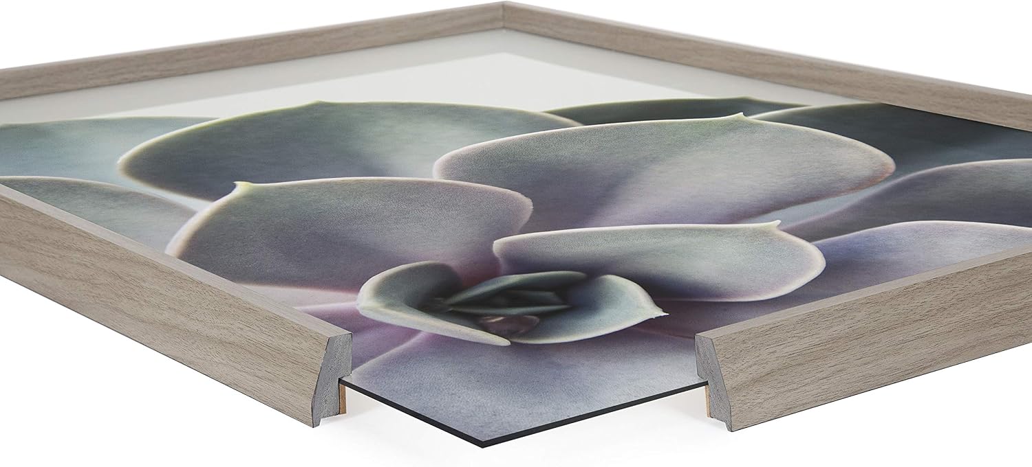 Kate and Laurel Blake Succulent 5 Framed Printed Glass Wall Art by Emiko and Mark Franzen of F2Images, 18x24 Gray, Decorative Plant Art for Wall
