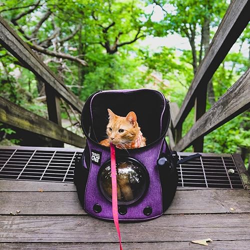 Miniatura 6 de Mochila para gatos gordos  Transportador de gatos aprobado por aerolíneas con burbuja de cápsula espacial para gatos pequeños, gatitos  Mochila de