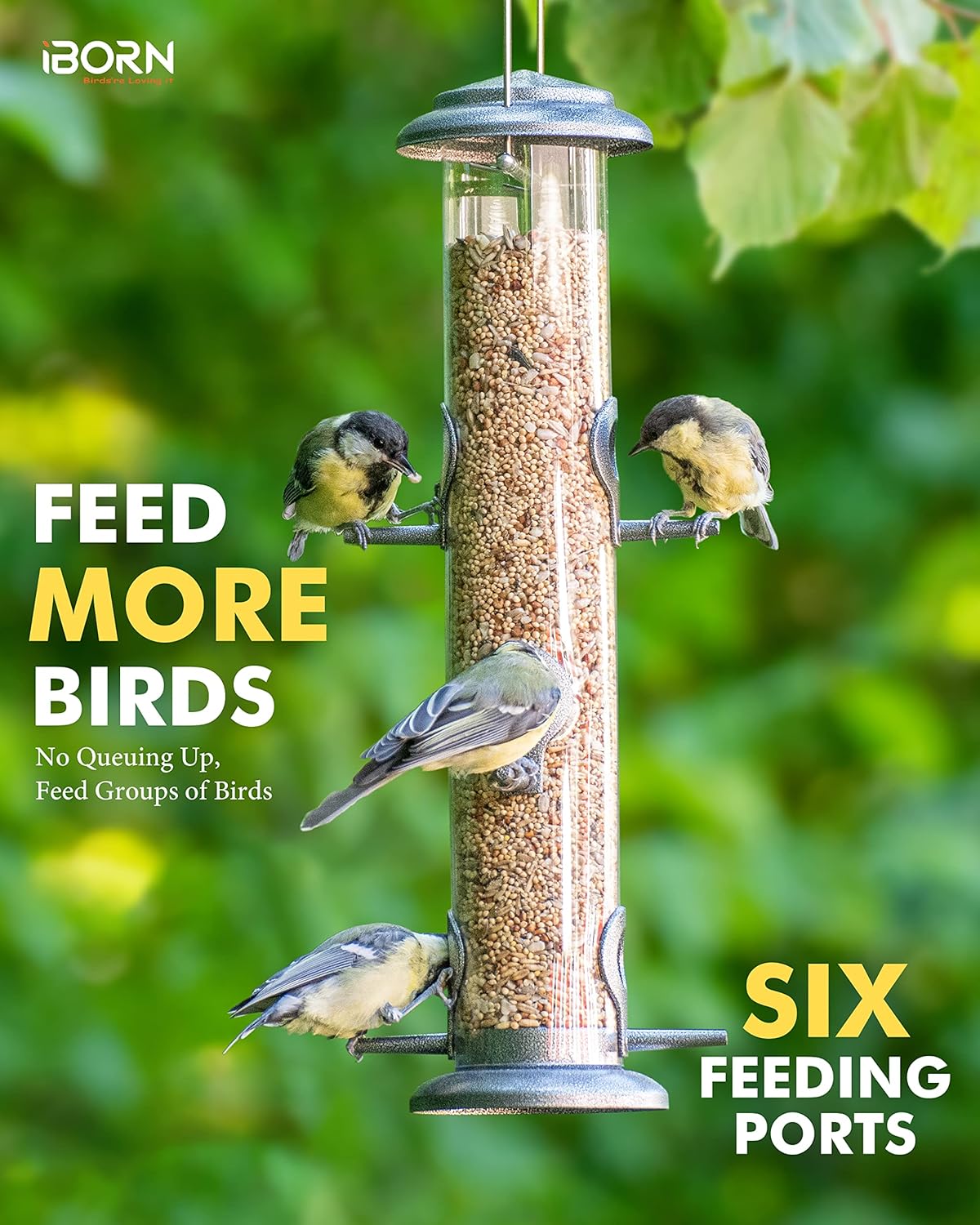 iBorn Metal Bird Feeder Hanging Wild Bird Seed Feeder for Mix Seed Blends Heavy Duty All Metal Silver Finish,15 Inch 6 Port(Seed is not Included),Gift Box