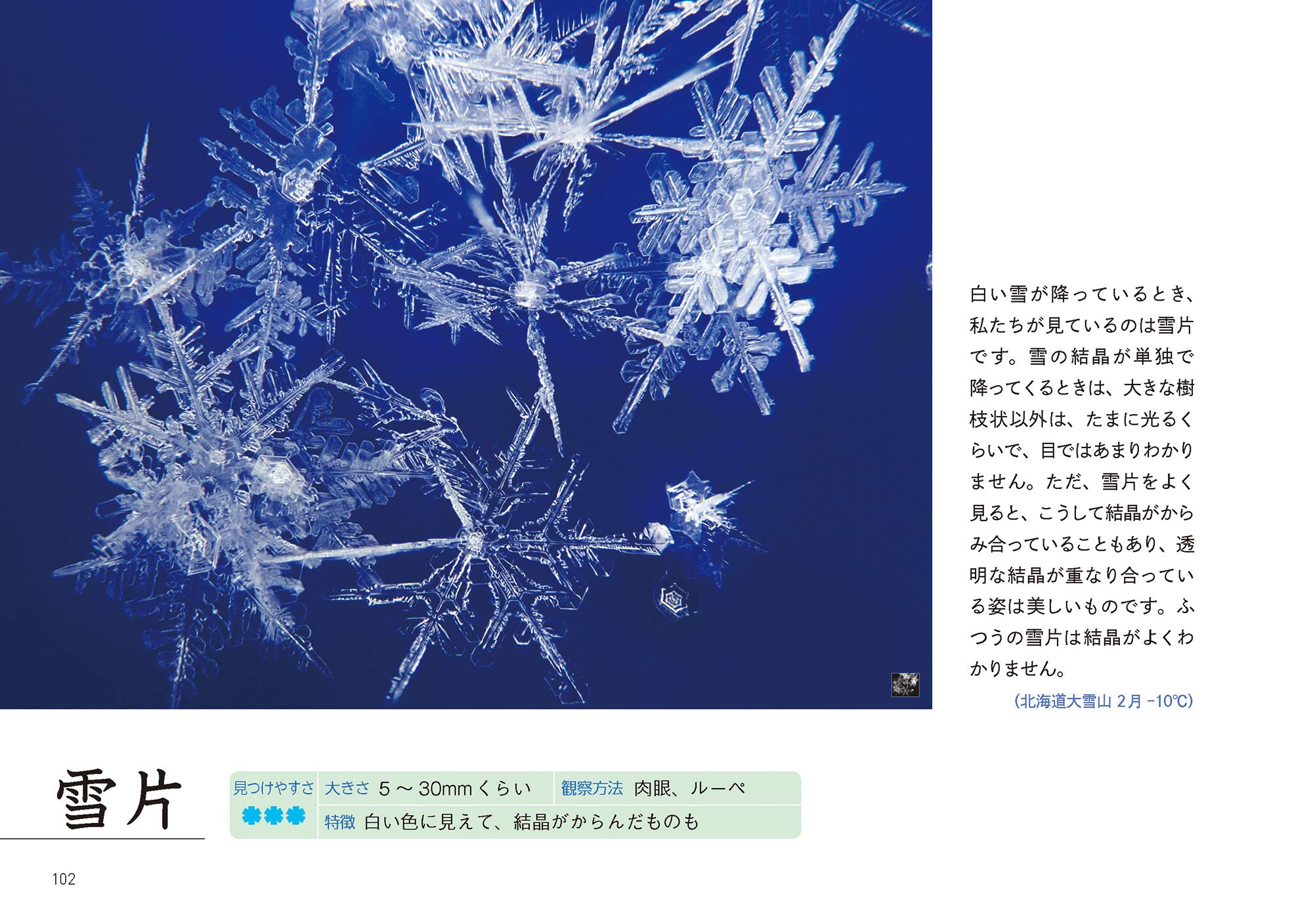 楽しい雪の結晶観察図鑑 武田 康男 本 通販 Amazon