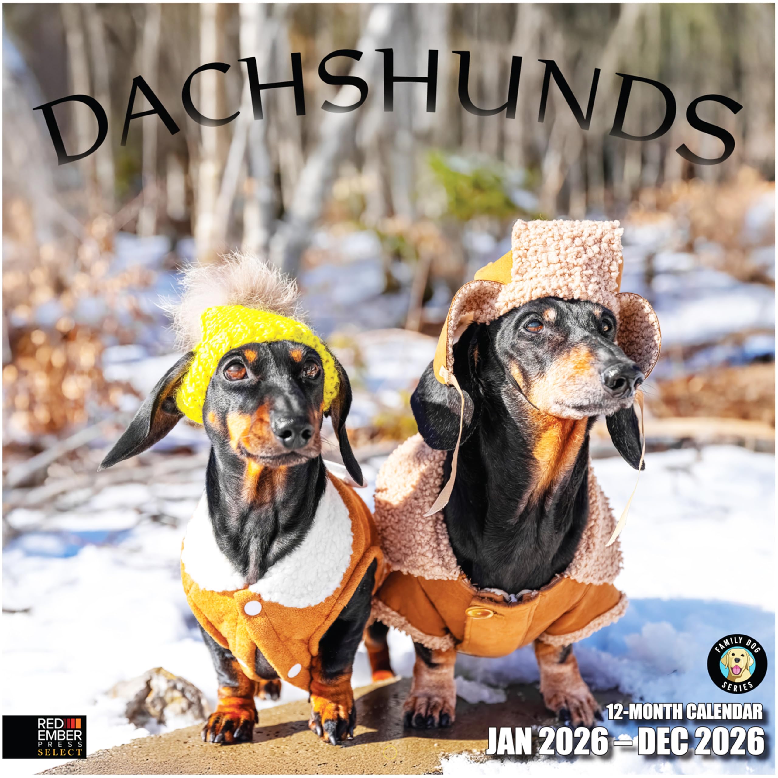 RED EMBER Select - Dachshunds 2026 Wall Calendar 12 Month | 12" x 24" Open | Thick & Sturdy Paper | Giftable | Calendar 2026