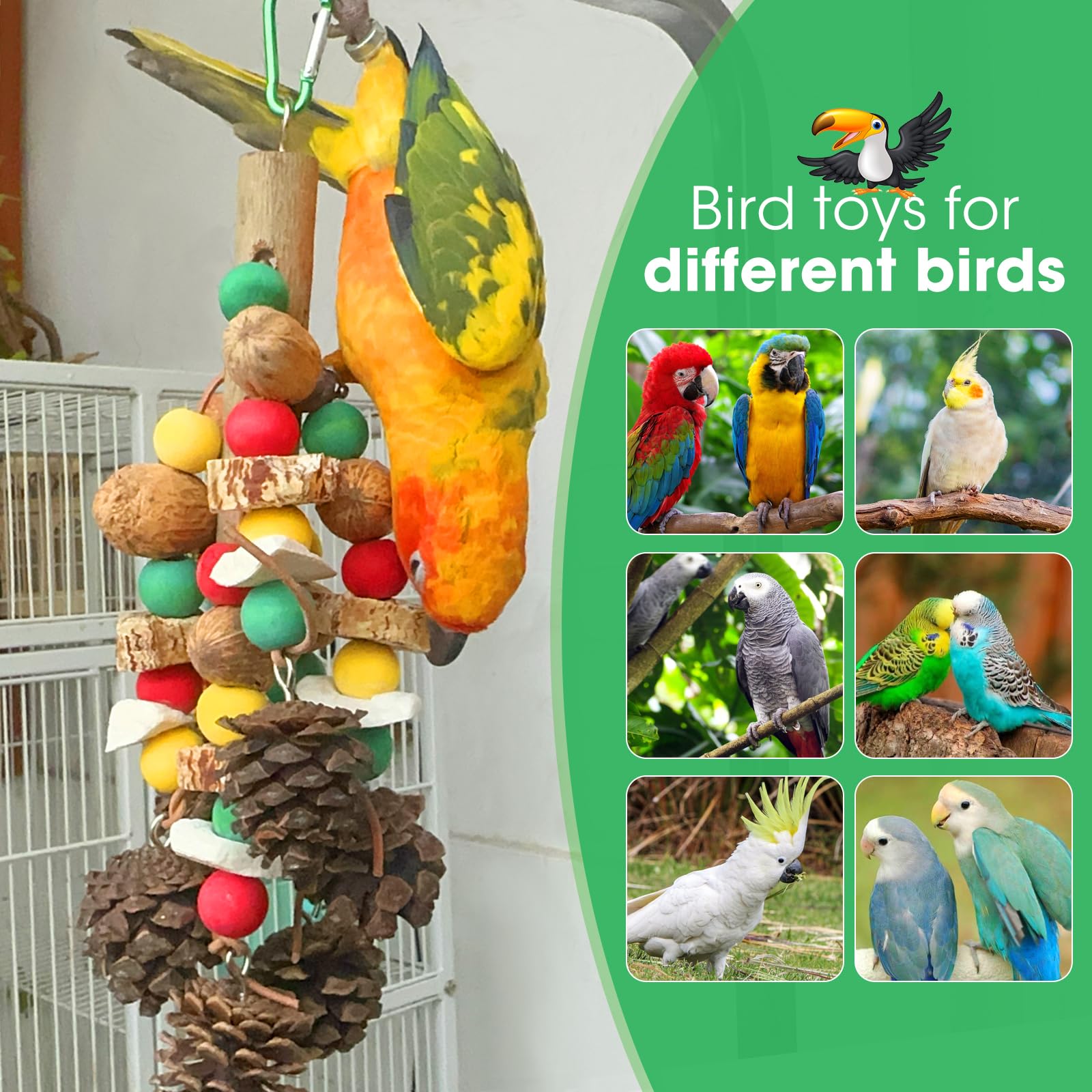 MQUPIN Giocattoli per pappagalli, noci ricche di nutrienti, giocattoli in legno naturale per pappagalli, giocattoli per cacatua