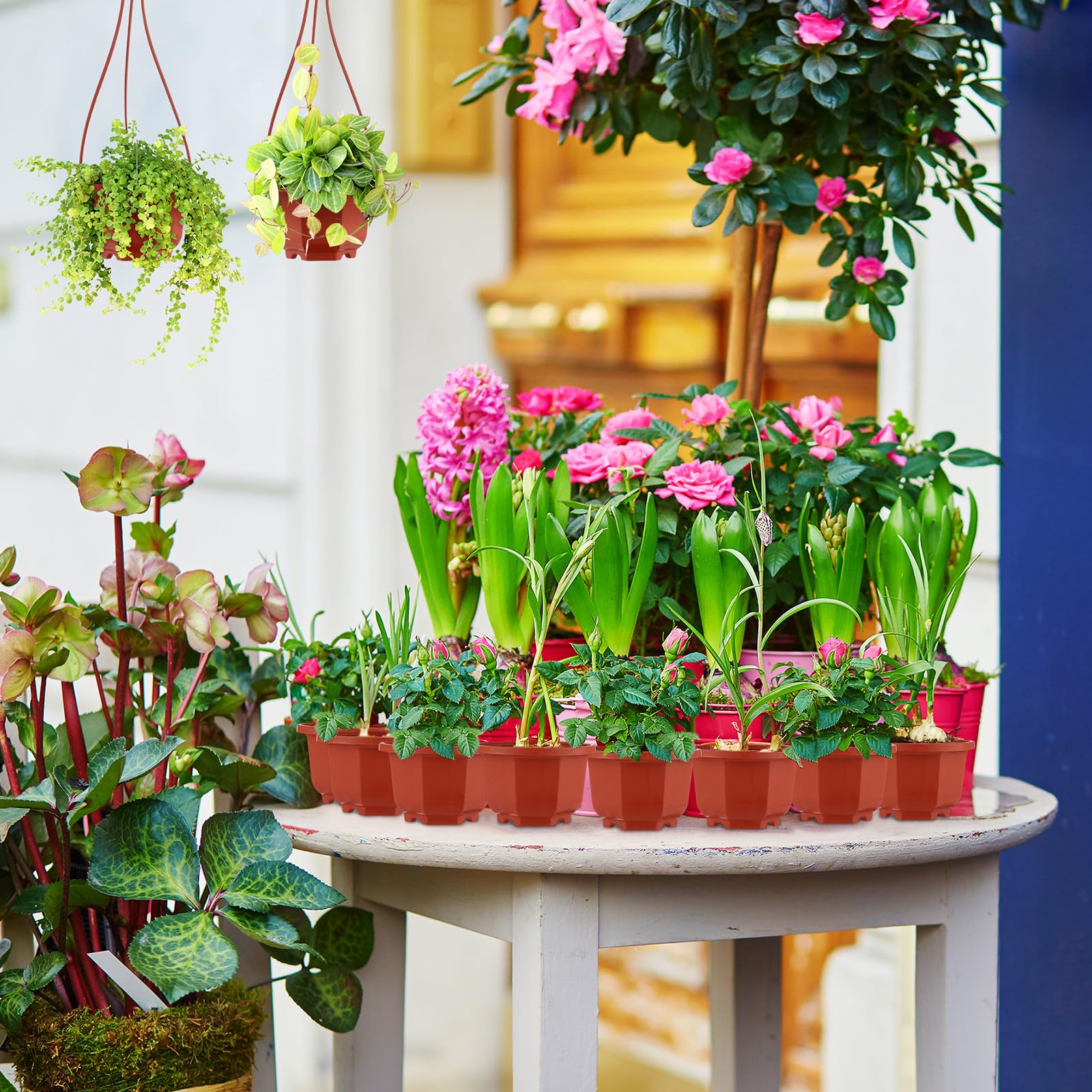 Roshtia Lot de 50 pots de fleurs à suspendre en plastique avec trous de drainage et crochets pour maison, jardin, balcon, porche (marron, 9,4 cm)