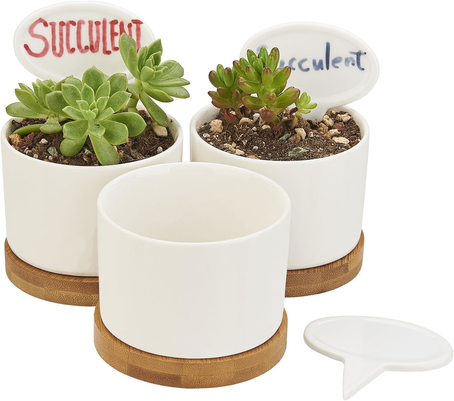 Planter Pots Indoor