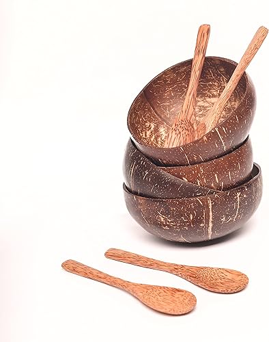 Natural Craft - Juego de cuencos y cucharas de coco (juego de 4)