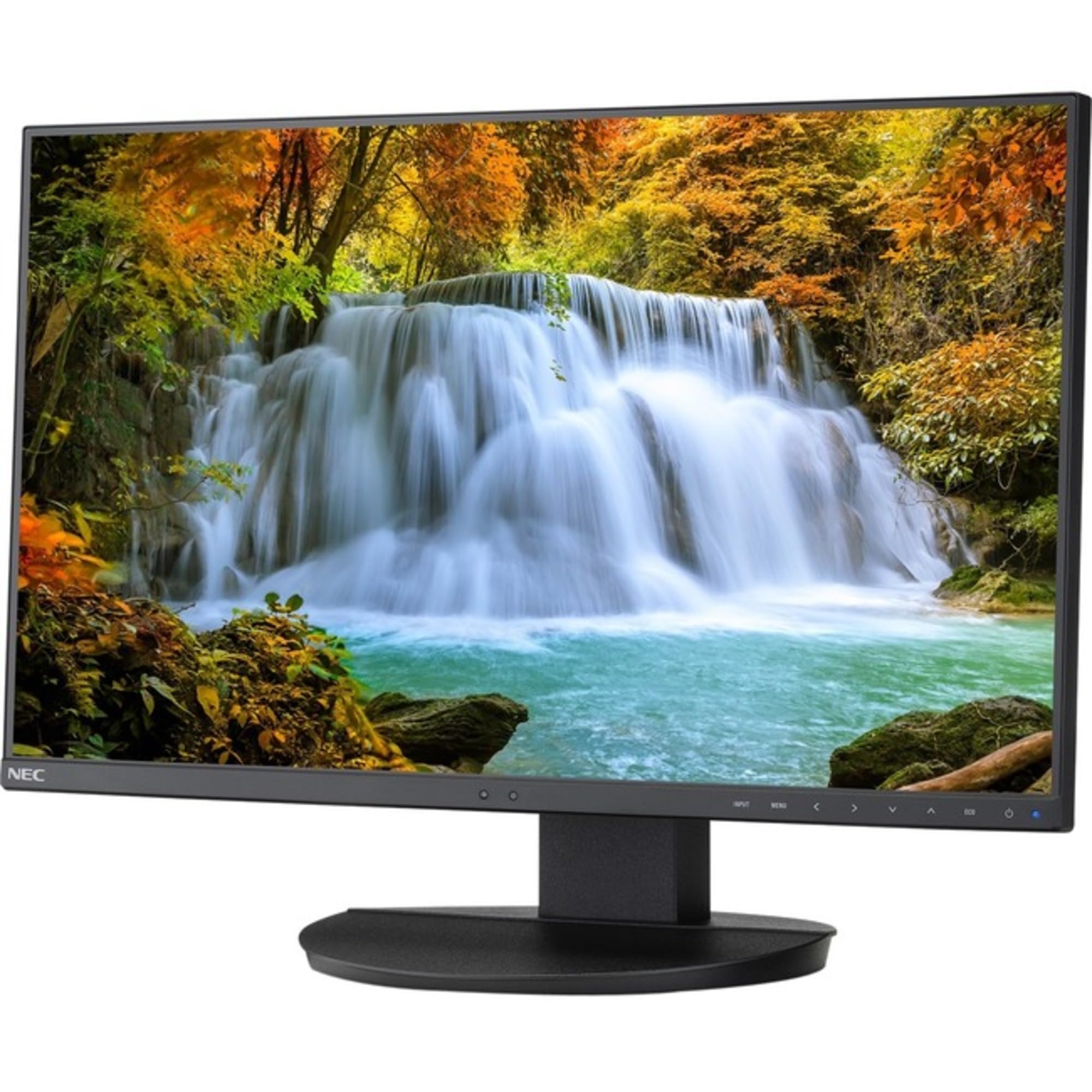 Amazon.com: NEC Display MultiSync EA242F-BK 24
