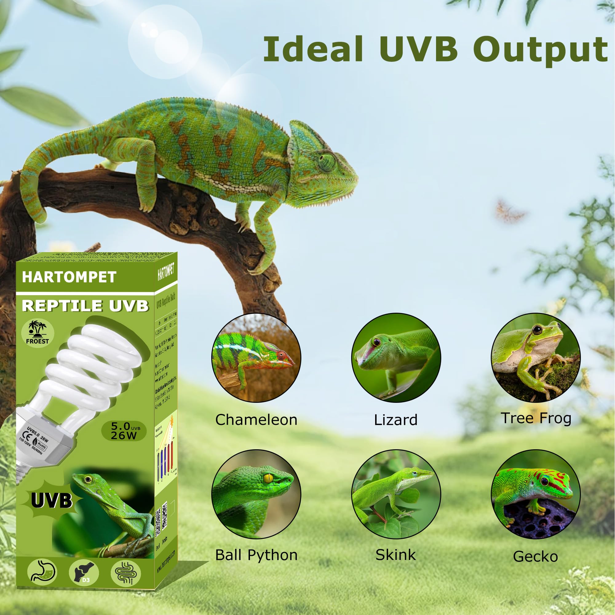 UVB 5.0 Reptile Light 26W, Compact Fluorescent Tropical Terrarium Lamp, Coil UVB Bulbs for Chameleons, Iguanas, Turtles, Rainforest Reptile Tanks, Pet Terrariums, Reptile Habitat Tank - image 4