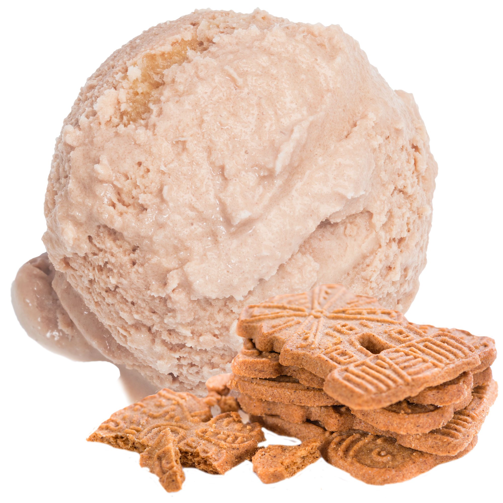 Spekulatius Geschmack Eispulver VEGAN - OHNE ZUCKER - LAKTOSEFREI - GLUTENFREI - FETTARM, auch für Diabetiker Milcheis Softeispulver Speiseeispulver Gino Gelati (Spekulatius, 10 kg)