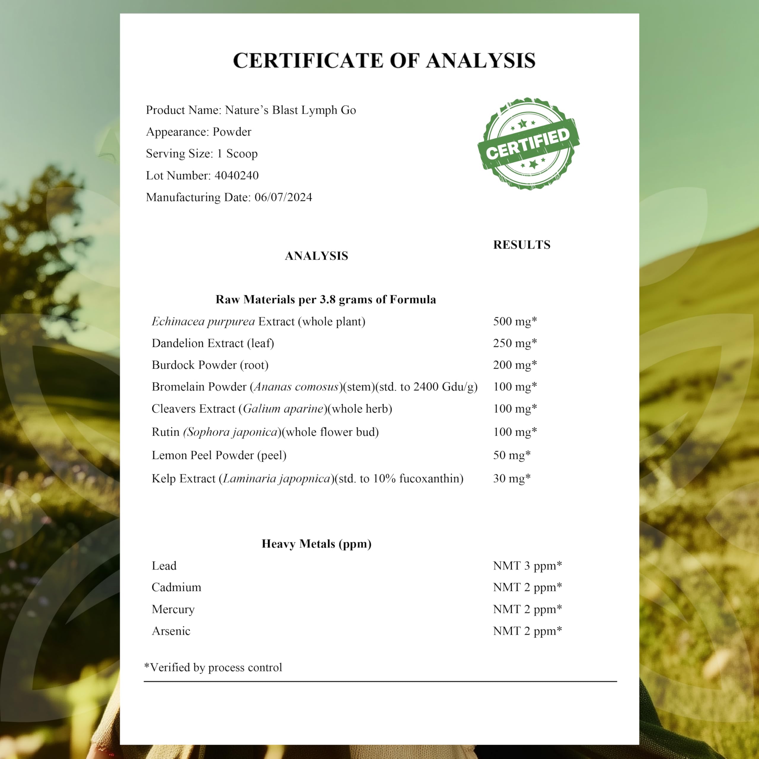 Lymph Go - Lymphatic Drainage Supplement for Women & Men - Lymph System Support - with with Bromelain, Echinacea, Burdock Root, Dandelion, Rutin, Kelp & More - 4.06 Oz - 30 Servings - Tropical Flavor