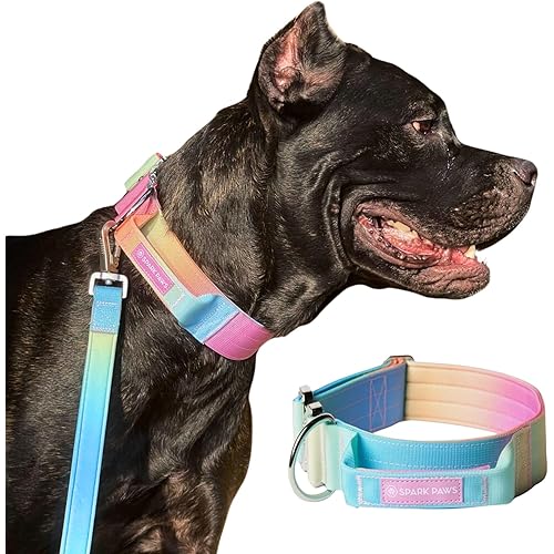 Tactical Dog Collar with Handle - Premium Quality Collar, Robust and Durable Design for Large, Strong Breeds - Pitbulls, Labradors, GSD - Pastel Icing - L