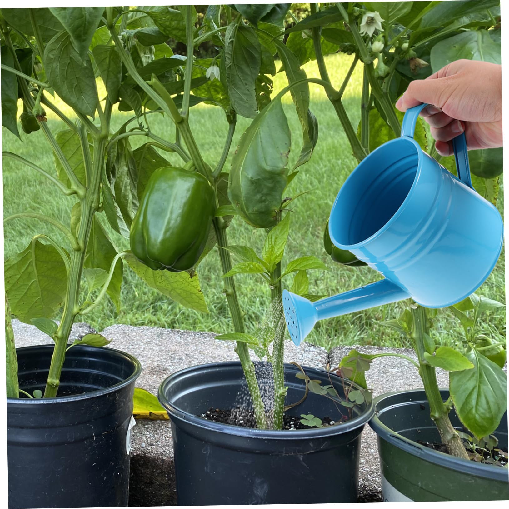 POPETPOP 3pezzi Annaffiatoio Beccuccio Spray Per Giardinaggio Indoor e Outdoor Capacità Design e Multifunzionale Per e
