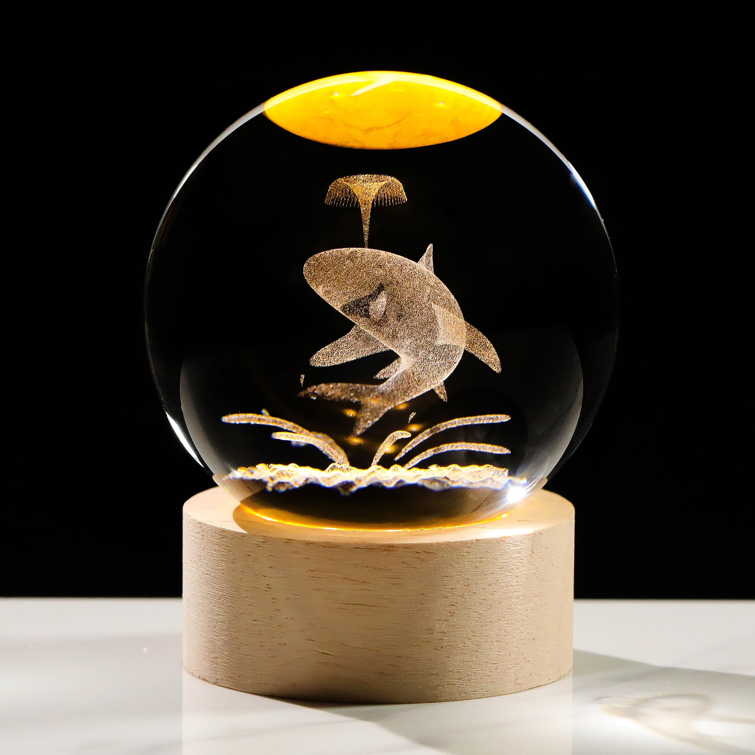 Amazon.com: 3D Crystal Ball Whale Shark Gifts for Women Men