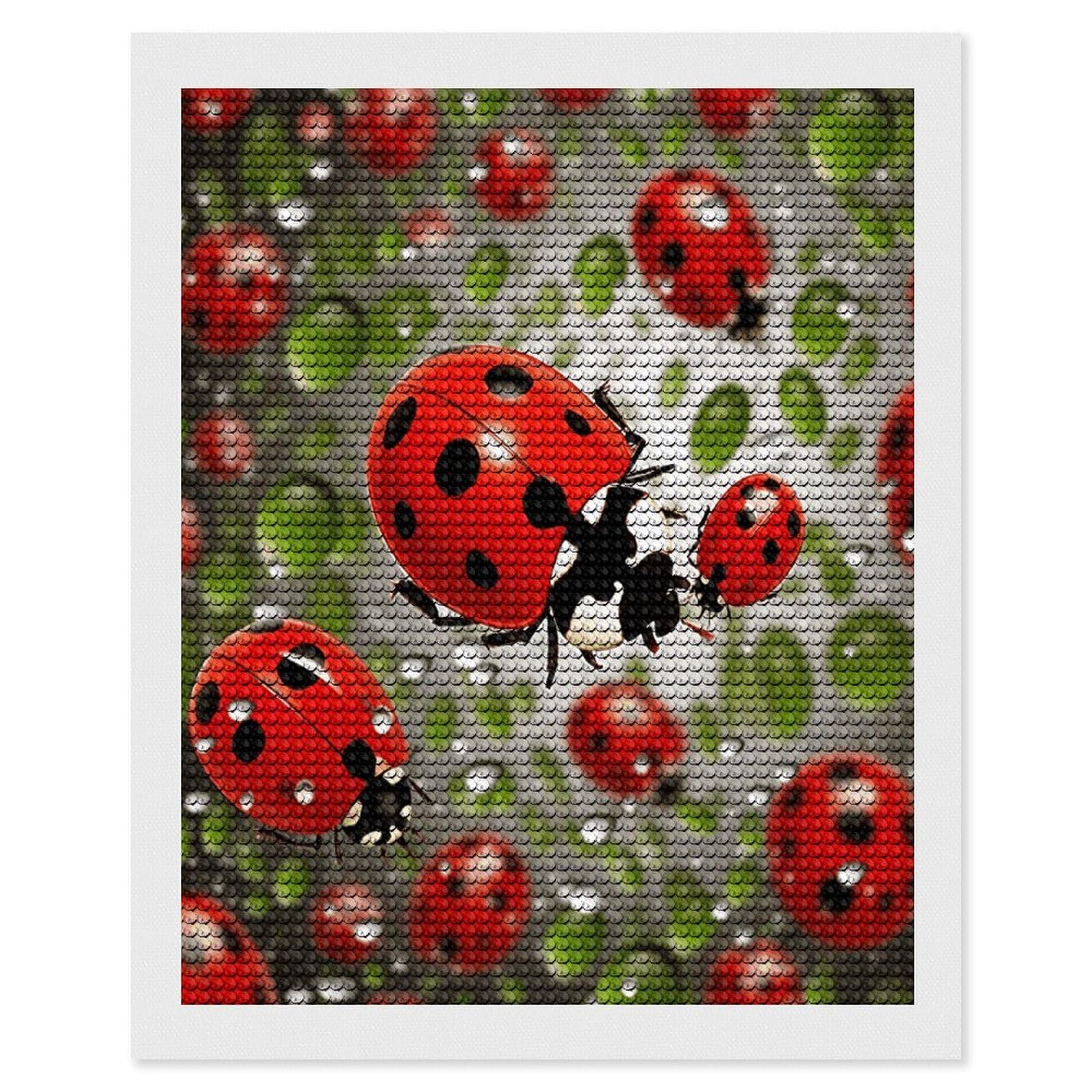 VstaDank Ladybug Diamond Painting Kits Exquisite DIY Full Round Drill Diamond Dots Painting for Adults Beginner Diamond Photo Paint with Diamond Picture Art Wall Decor 16"x20"