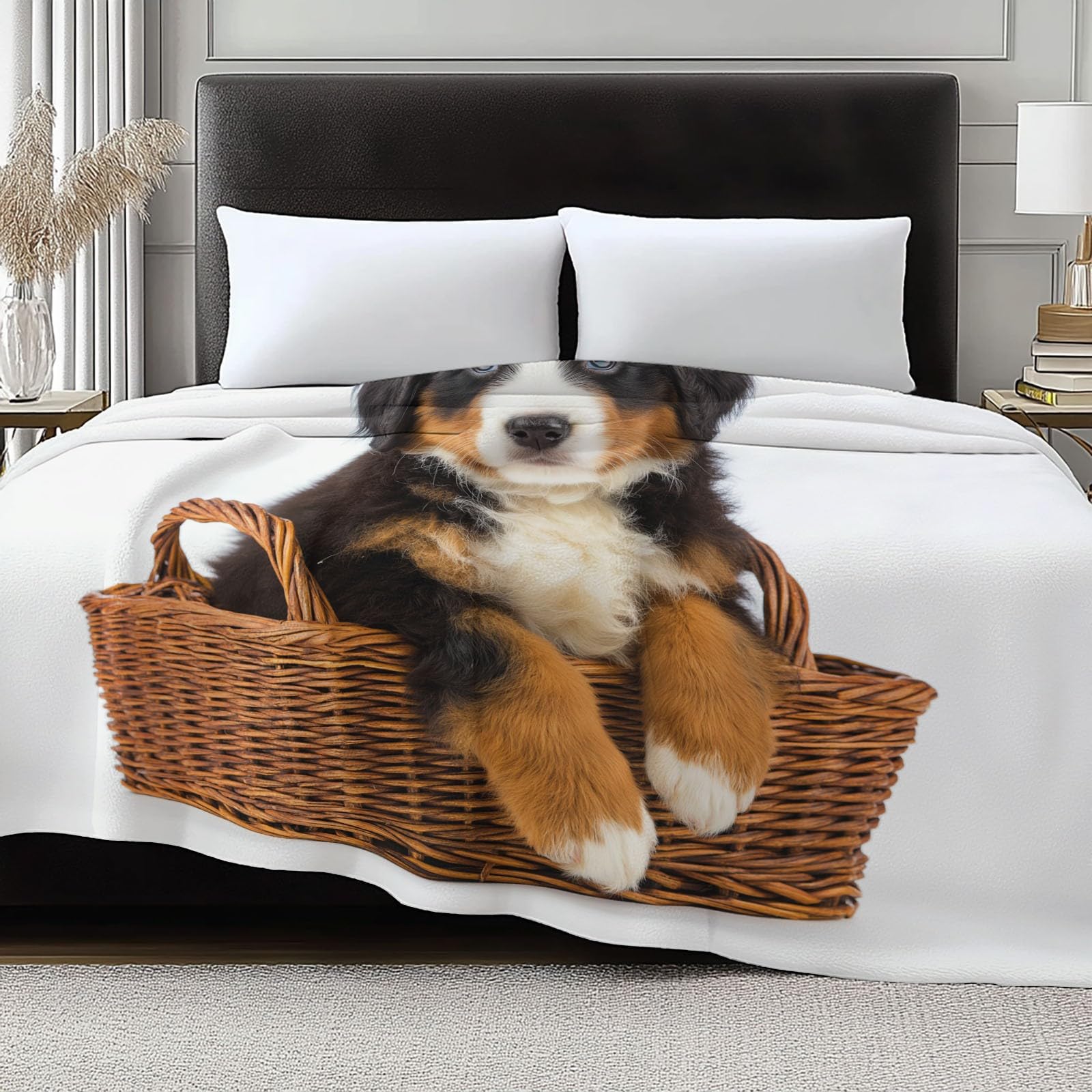 Koc flanelowy uroczy kreskówka zima ciepłe 180 x 220 cm, miękkie i ciepłe zwierzę pies berneński pies pies z nadrukiem koc na sofę dla dziewczynek chłopców dorosłych podróż sofa