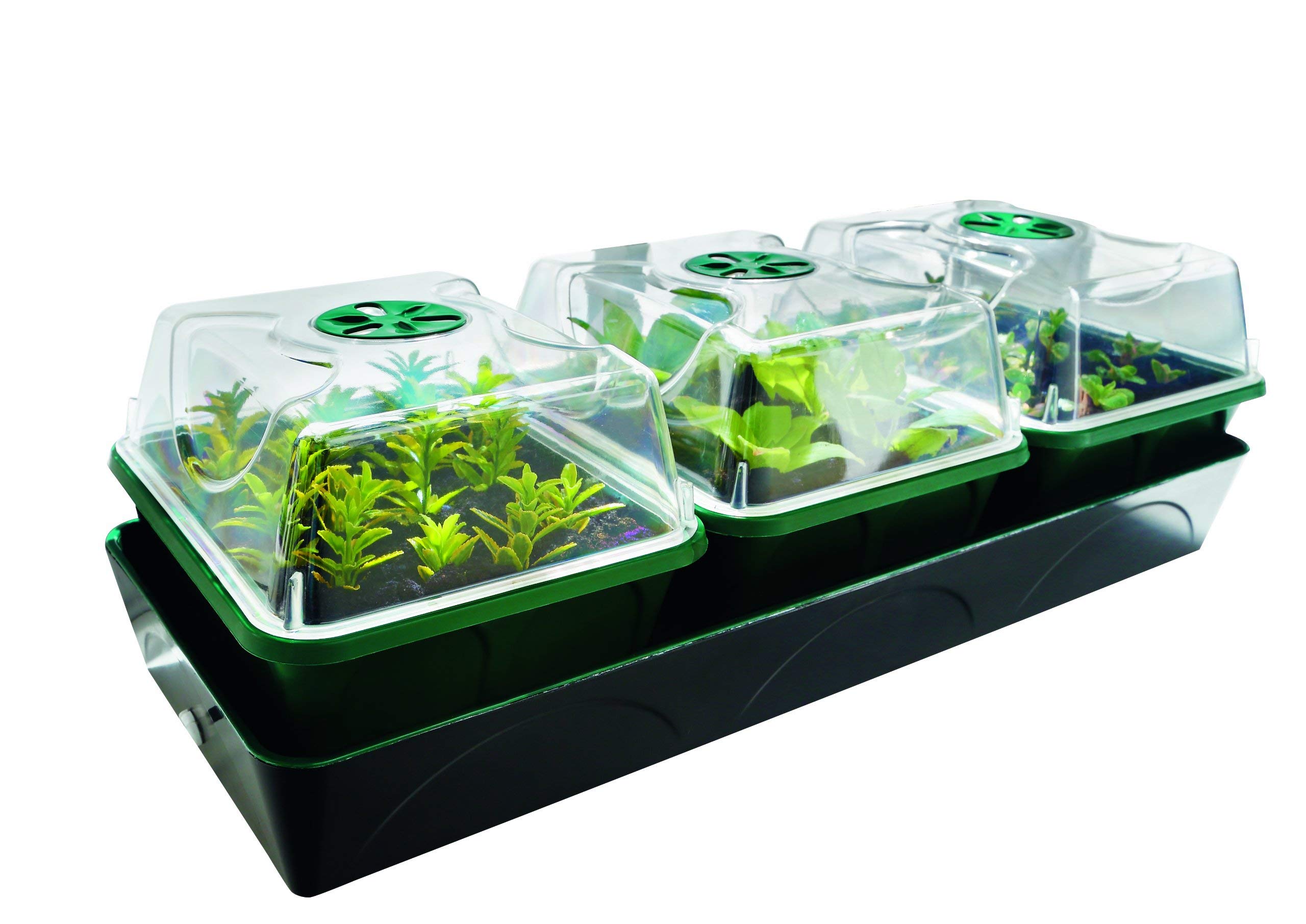 Bio Green HOL 3 Hollandia Serre D'intérieur Chauffée avec Réservoir d'eau