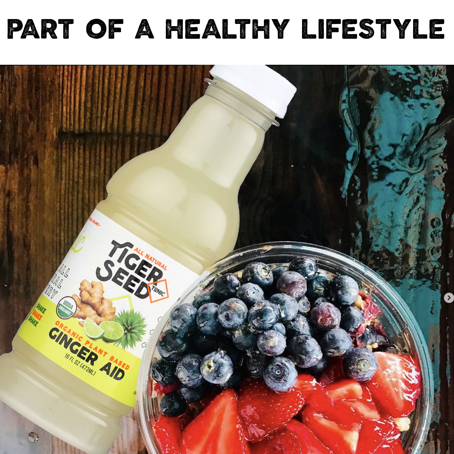 Ginger Aid - Tiger Seed - Plant Based Immunity and Recovery Support - 16 FL OZ Bottles (Pack of 9) Ginger, Lime Juice and Agave -Organic, Vegan, Kosher