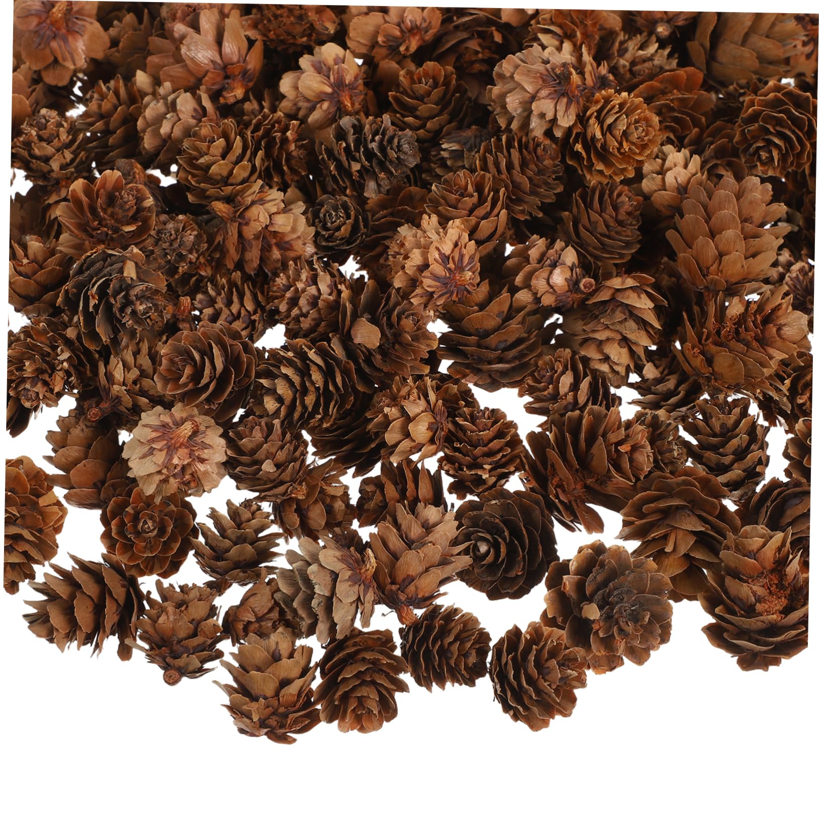 Kleiner Kiefernzapfen Dekoration Natürliche Tannenzapfen Bastelmaterial Herbst Deko Zubehör 1–2cm 450 Stück Für Weihnachtsbaum Und Tischdeko