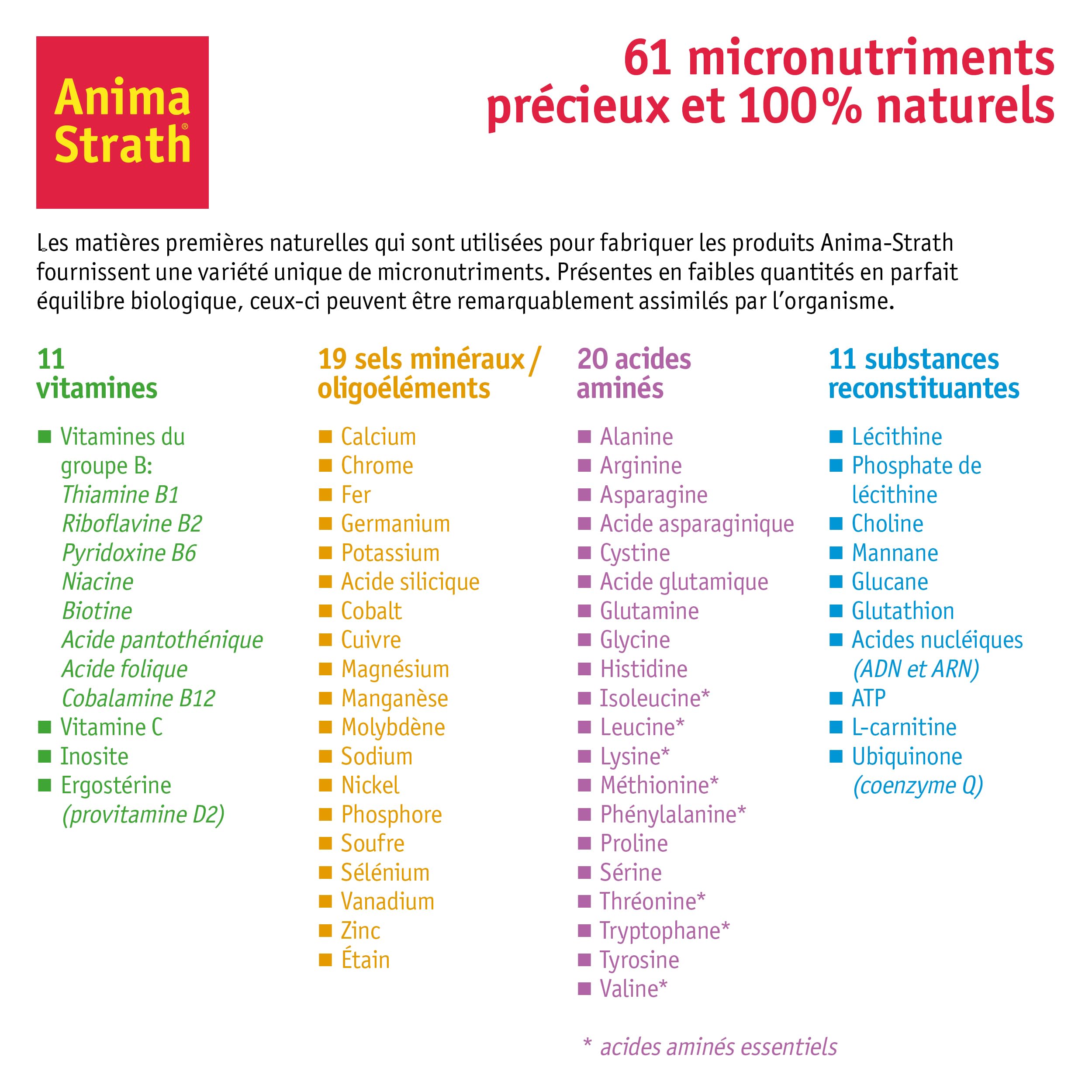 Anima Strath Complément Alimentaire pour Chiens - (80 Comprimés) 61 Nutriments, Vitamines, Minéraux, Acides Aminés, Complément Naturel pour Le Système Immunitaire et la Digestion.