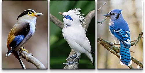 Miniatura 14 de Panel de lienzo artístico wall26-3 obra de arte 02,obra de arte 07,Obras de arte - 08,obra de arte 09,obra de arte 10,obra de arte 11,obra de arte