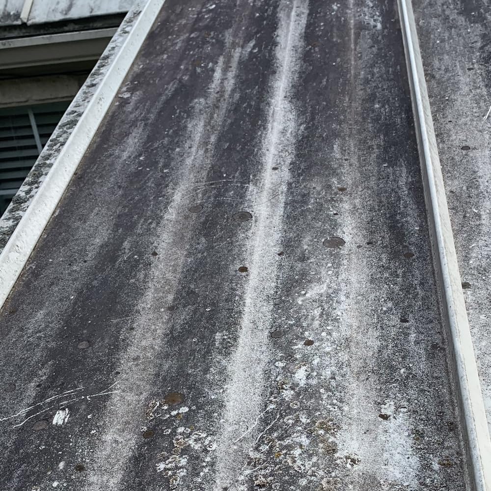 Sopgal Limpiador de Humedades para Tejados, Fachadas y Suelos 25L | Limpia en profundidad manchas y restos de humedad y la suciedad acumulada en tejados y fachadas antes de pintar.