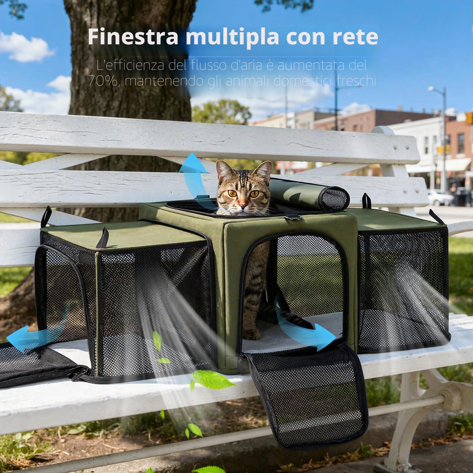 Pecute Trasportino per gatti espandibile, con struttura stabile, traspirante, ampio spazio, trasportino portatile adatto per viaggi comodi, doppia borsa espandibile, verde