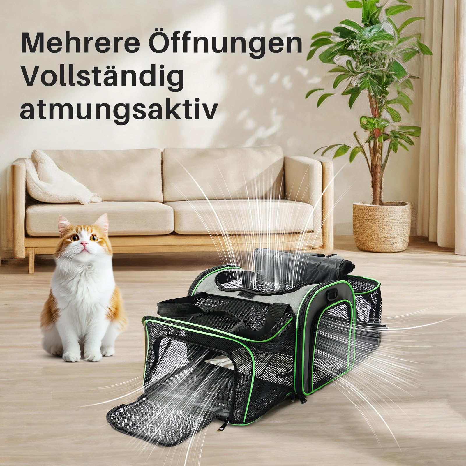 Gardner Pet Katzentransportbox, Haustiertragetasche, Faltbar und Erweiterbar für Katzen und kleine Hunde, atmungsaktive Transporttasche, Haustier-Reisetasche mit Schultergurt, BPA-frei, L