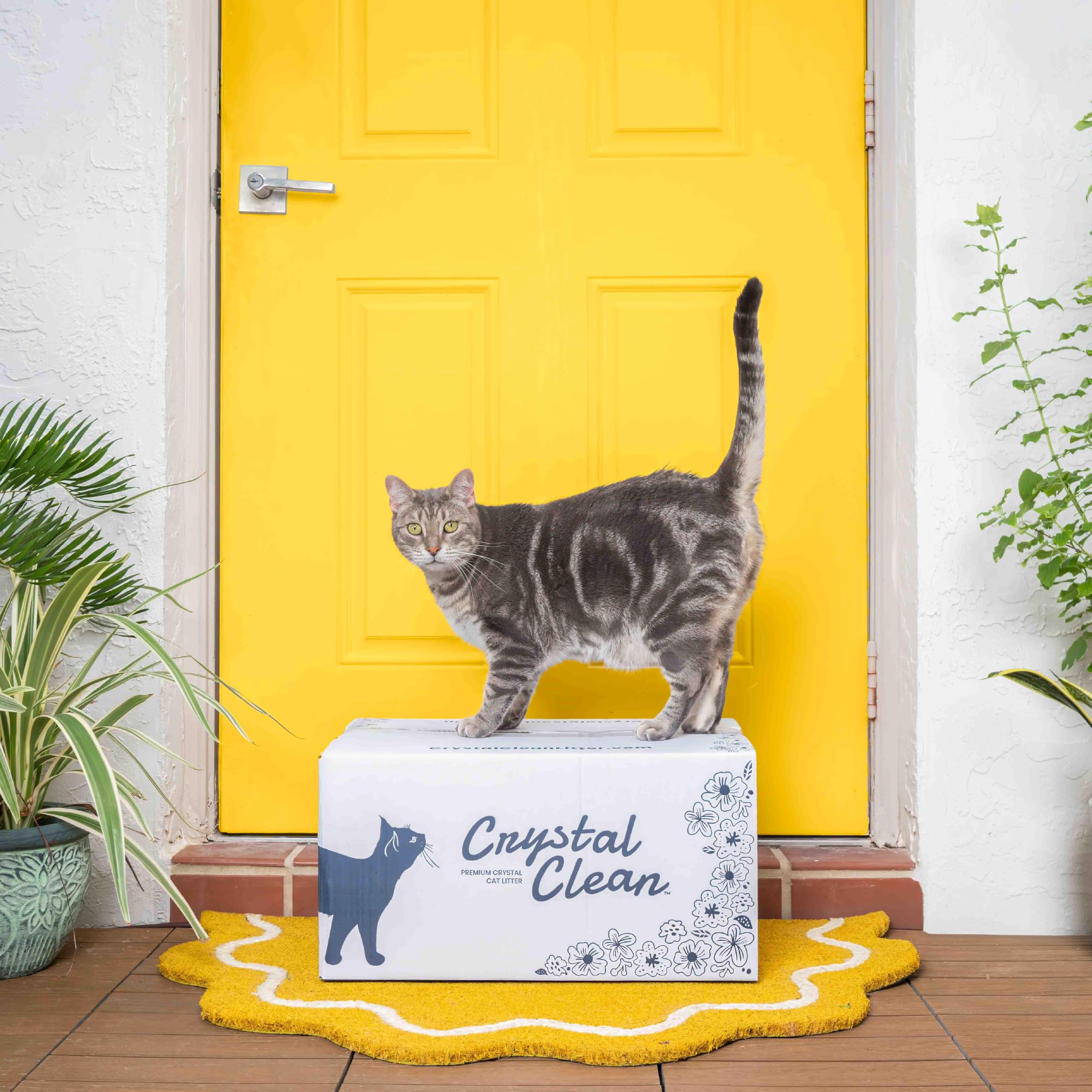 Feline Fresh - Arena para gatos de cristal con aroma fresco y control de olores (5 veces más rápido), la mejor arena ligera y no aglutinante para absorber la orina, seca los residuos sólidos (2 bolsas
