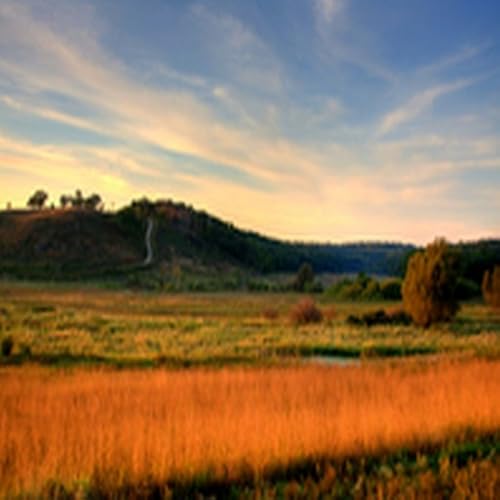 Braised Chicken with Asparagus and White Wine - //medicalbooks.filipinodoctors.org