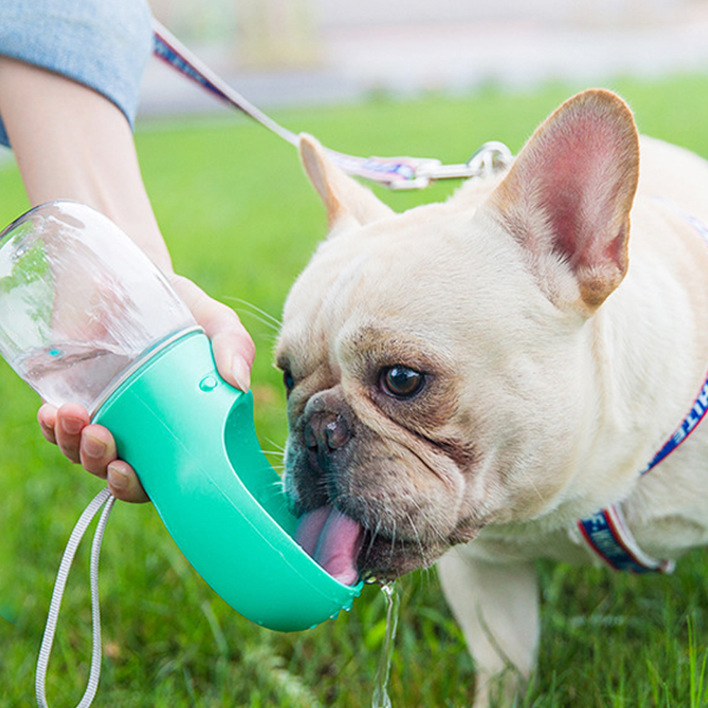 Pet Supplies : Kalimdor Dog Water Bottle, Leak Proof Portable