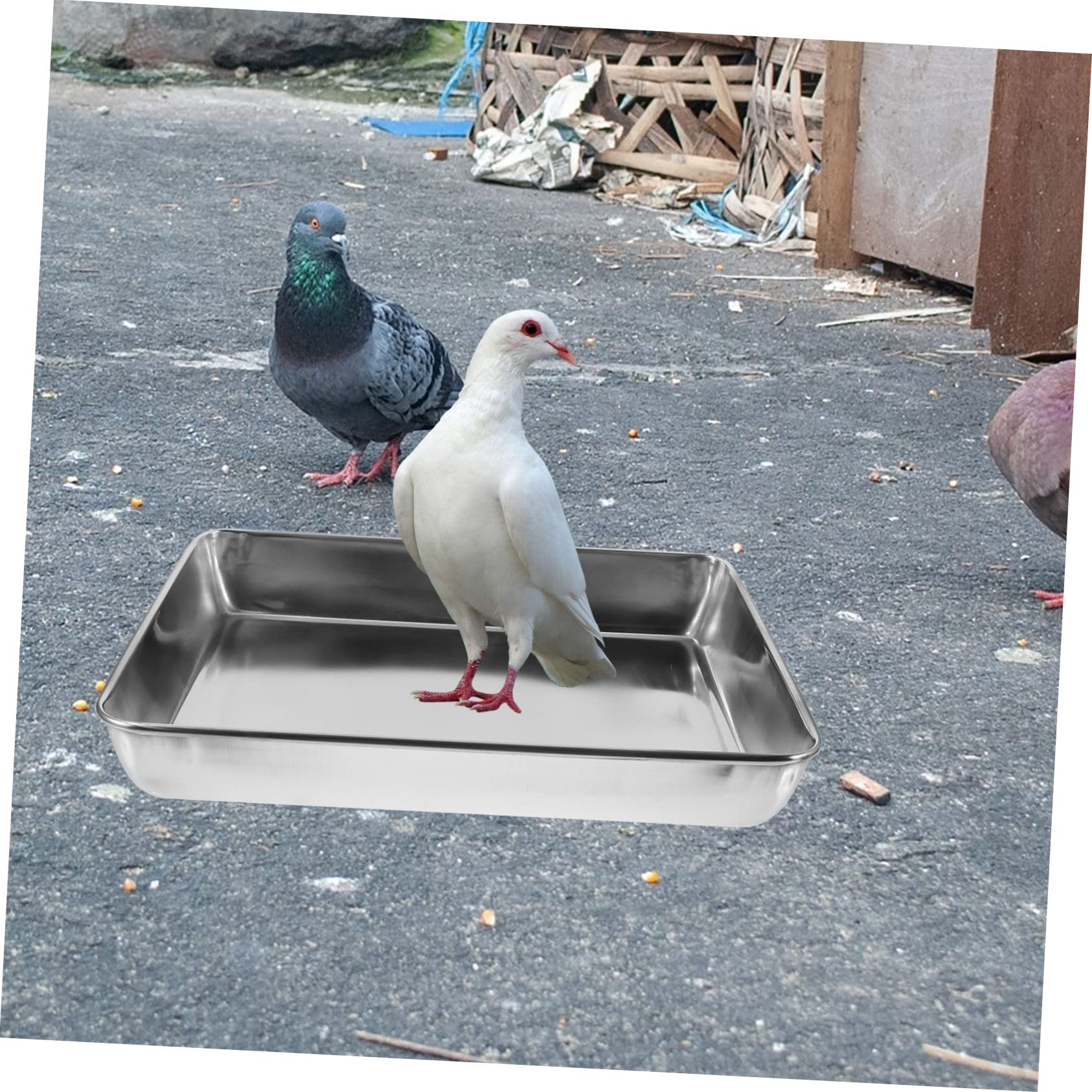 VANZACK Bain à Bain pour Oiseaux en Acier Inoxydable Argenté, Réutilisable et Facile à Assortir, pour Petits Pigeons et Oiseaux Exotiques
