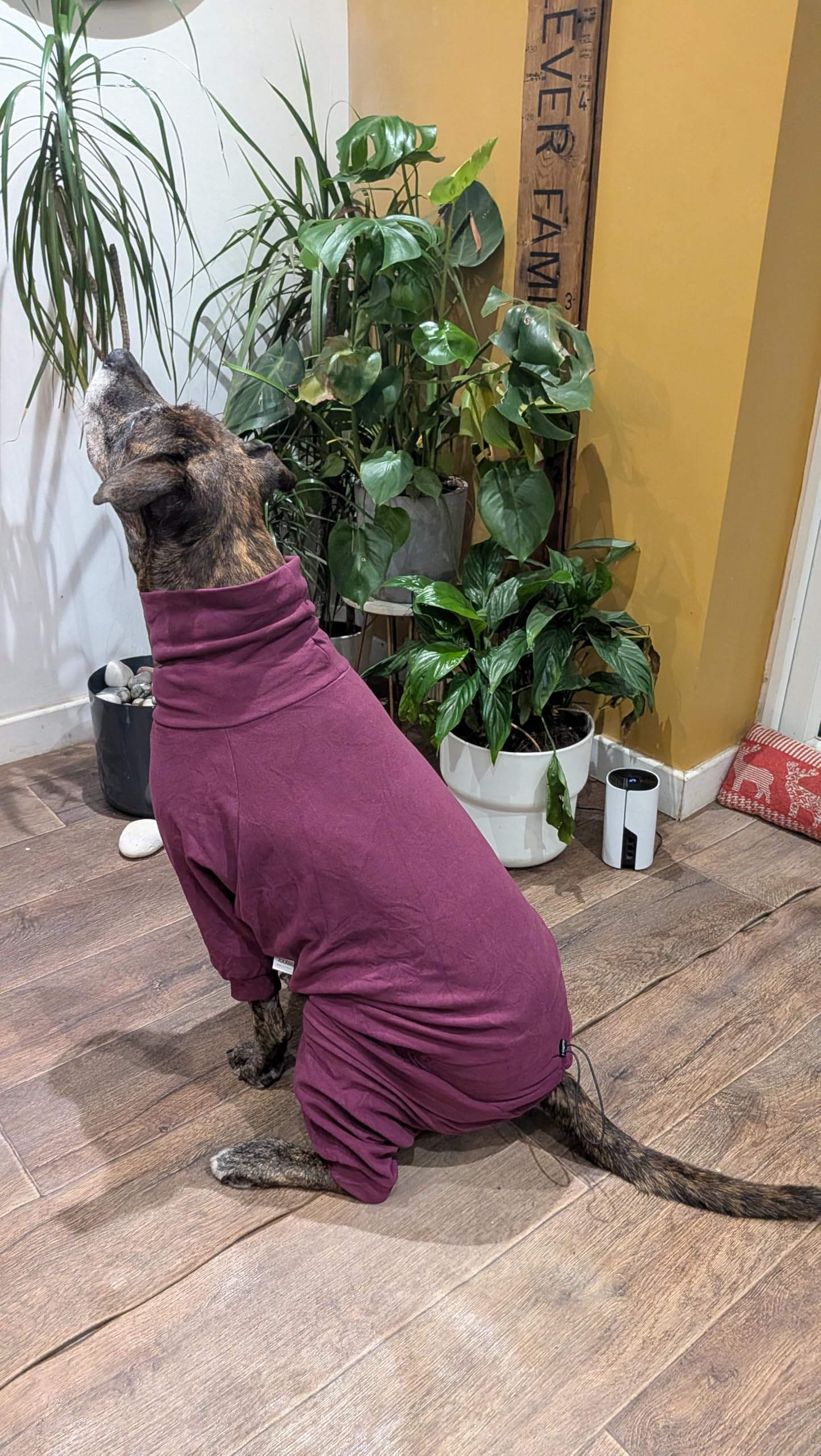 Aqua fleece dog coat water resistant (Purple, XXXL)