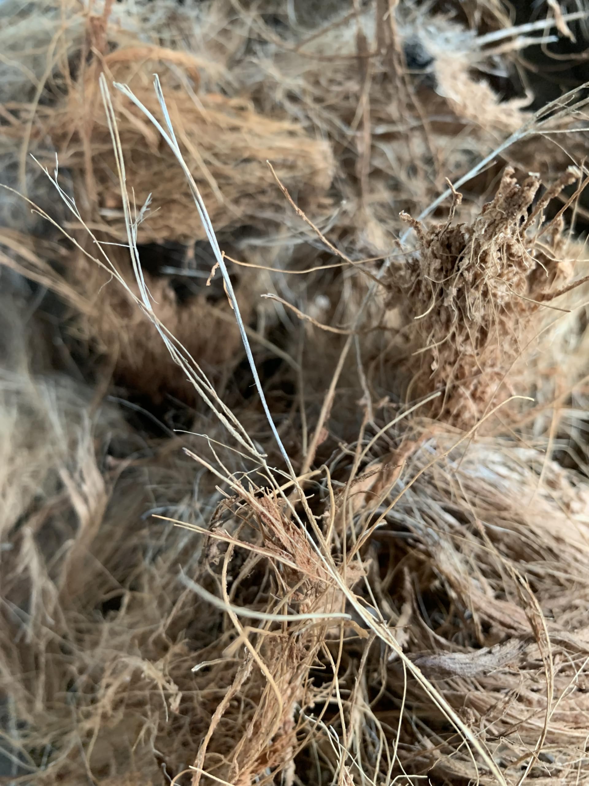 Natural Coconut Husk Fibres, Raw Coir Material, Brown, 100g, Natural Brown - Image 3