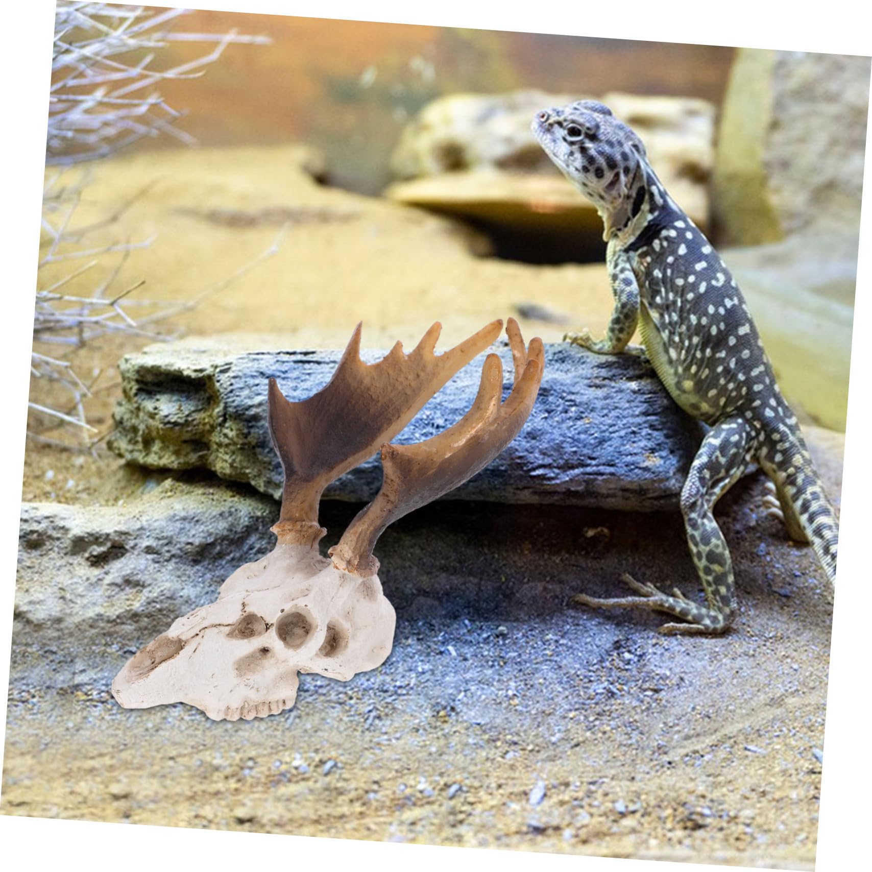 Toddmomy 3stücke Reptile Tank Dekoration Deer Skull Versteck Höhle Für Reptilien Baumaterialien Für Terraristische Pflegeleichtes Harzdesign
