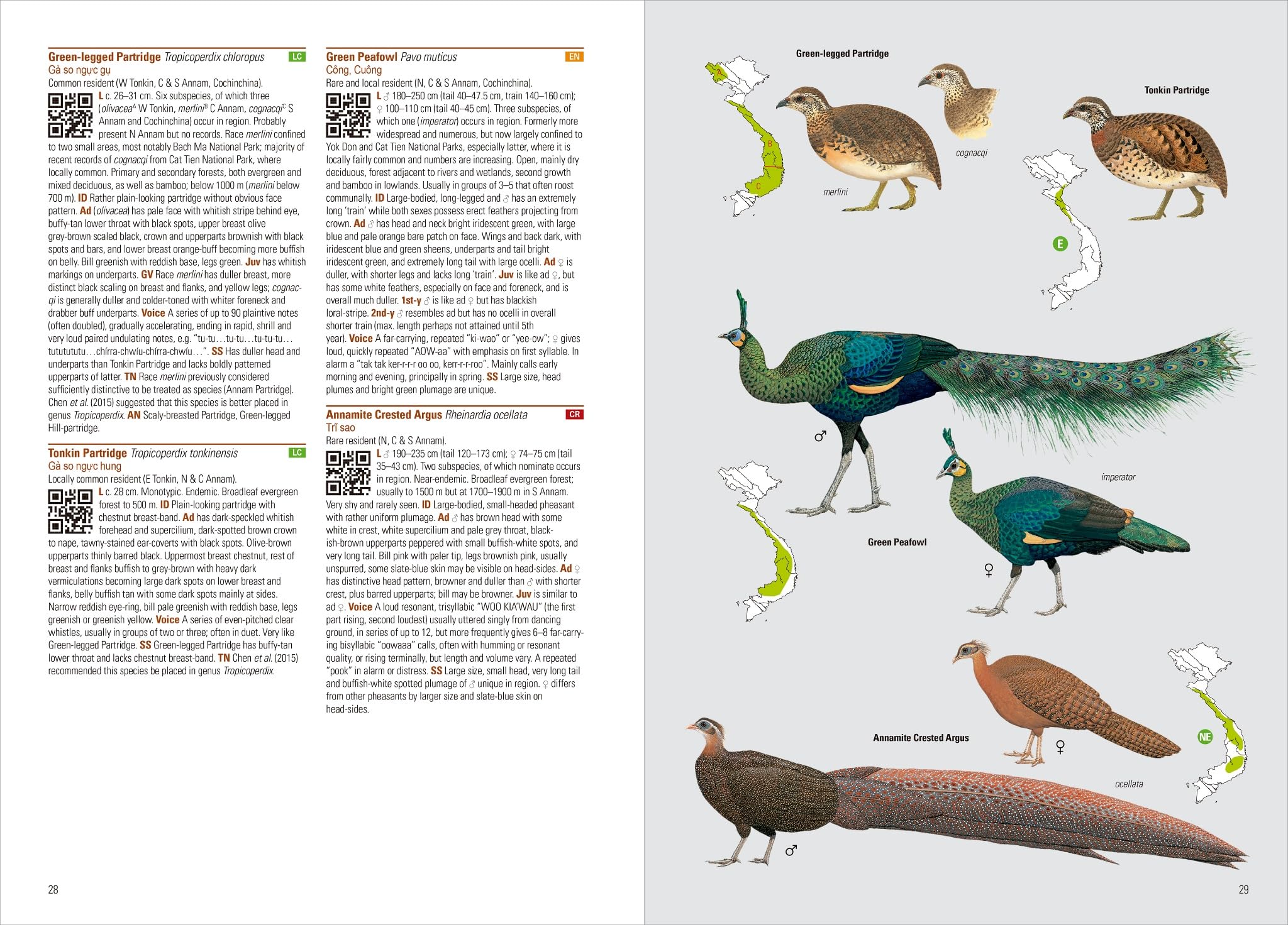 Birds of Vietnam