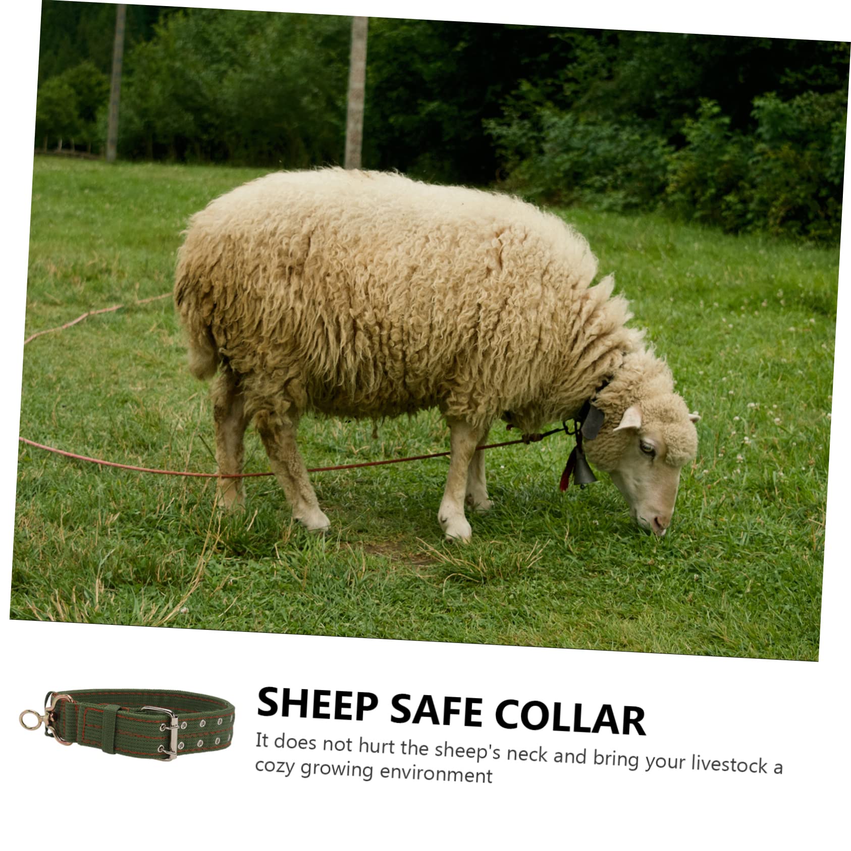 Weaver Catena in Pelle Capra Collare con Impugnatura in Gomma, Chrome Plated