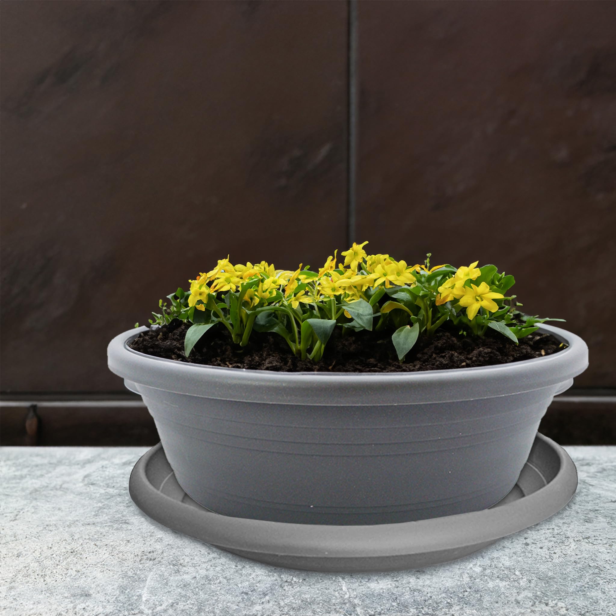 Ashortwalk ECOPOTS - Sottovaso Quadrato in plastica Riciclata (Lunghezza & Larghezza 28 cm x Altezza 3 cm) (Nero