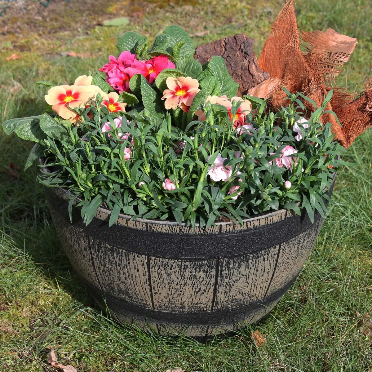 colourliving Pflanzkbel Pflanztopf rund 50 cm Weinfass-Optik Blumenkbel  Blumentopf Blumenfass wetterbestndig: Amazon.de: Garten