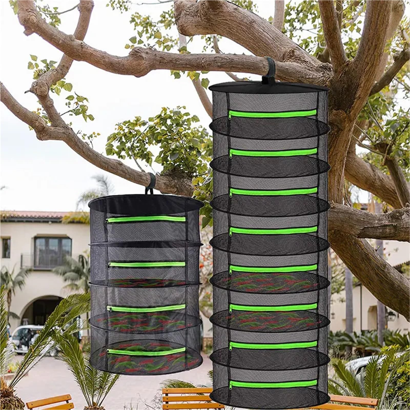 Rete for Essiccazione Cibo Secco Erbe Pesce Frutta Erbe Spezie Piante Verdure Carne Erbe Asciugatrice Lavanderia Conservazione Organizzazione Casa Giardino(6 Layer)