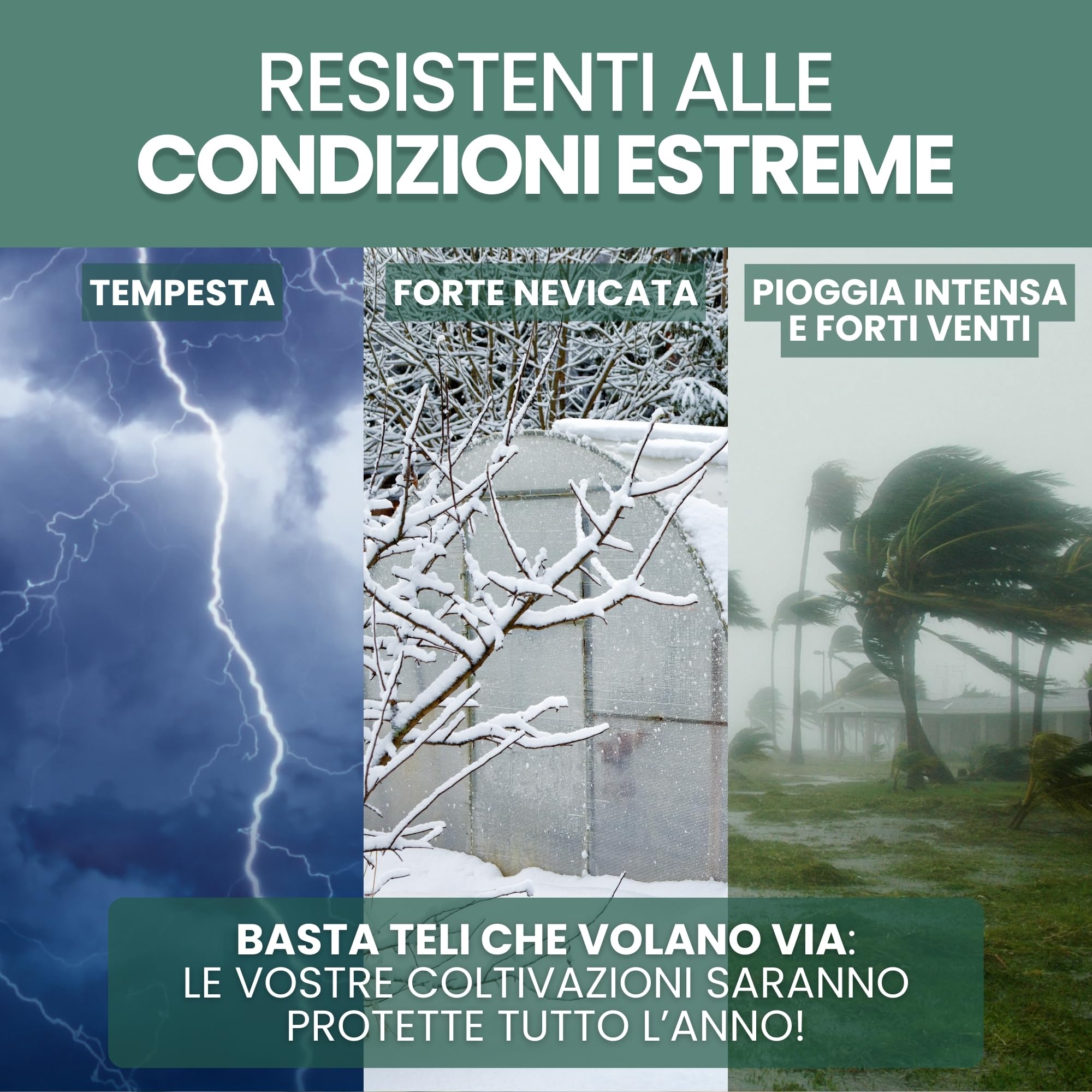 50 clip per serra diametro 25 mm in acciaio zincato, clip di fissaggio metallo per telone serra tunnel, protezione piantine piantagioni, resistenza vento tempeste