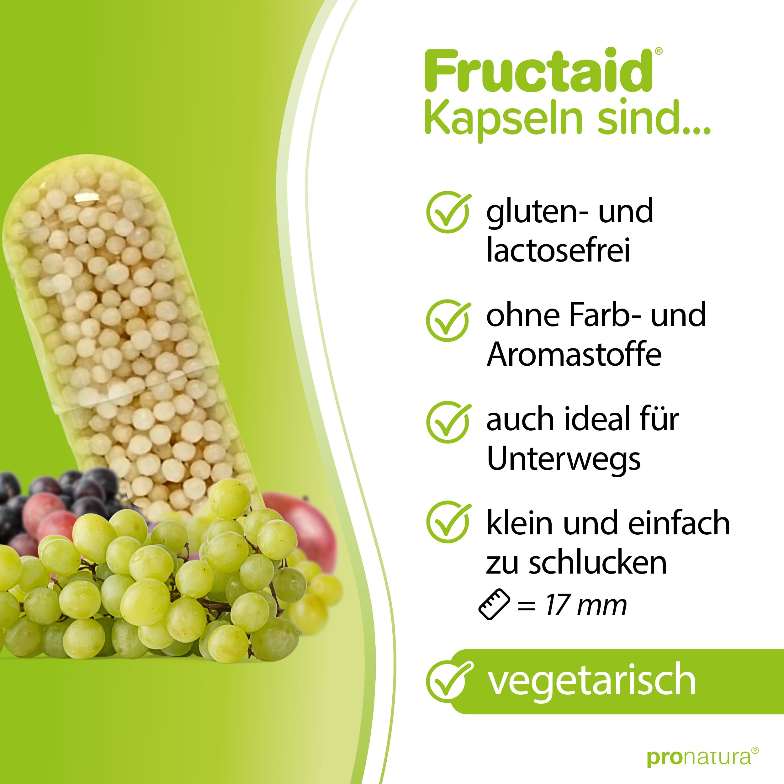 pro natura Fructaid – 120 Kapseln bei Fructose-Intoleranz, Supplement zur Prävention und Linderung von Fructose-Malabsorption bedingten Verdauungsbeschwerden