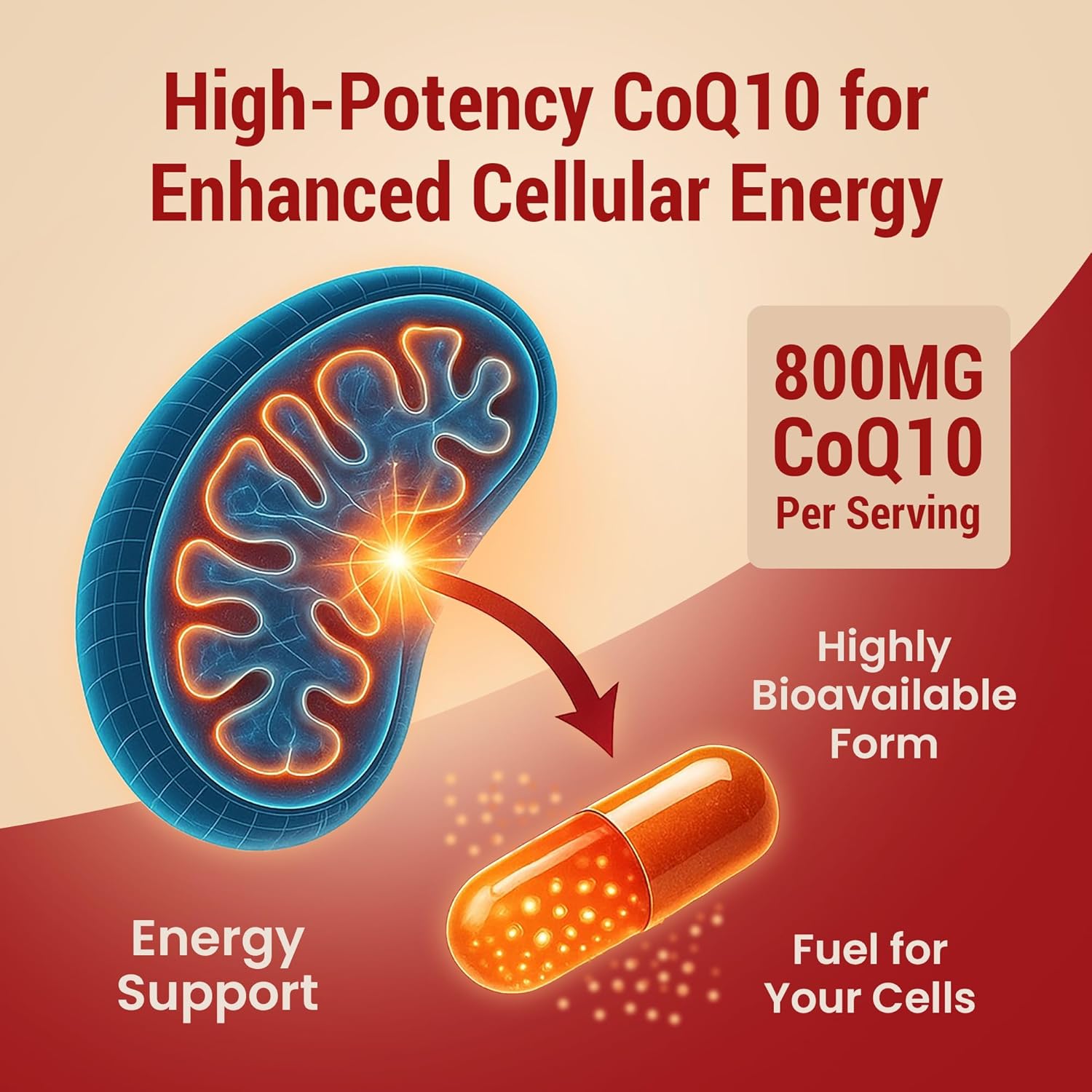 CoQ10 Powerful Antioxidant Supplement - Extra Strong Formula 800mg, 60 Capsules, 1-Month Supply with Coenzyme Q10 Vitamins and Supplements