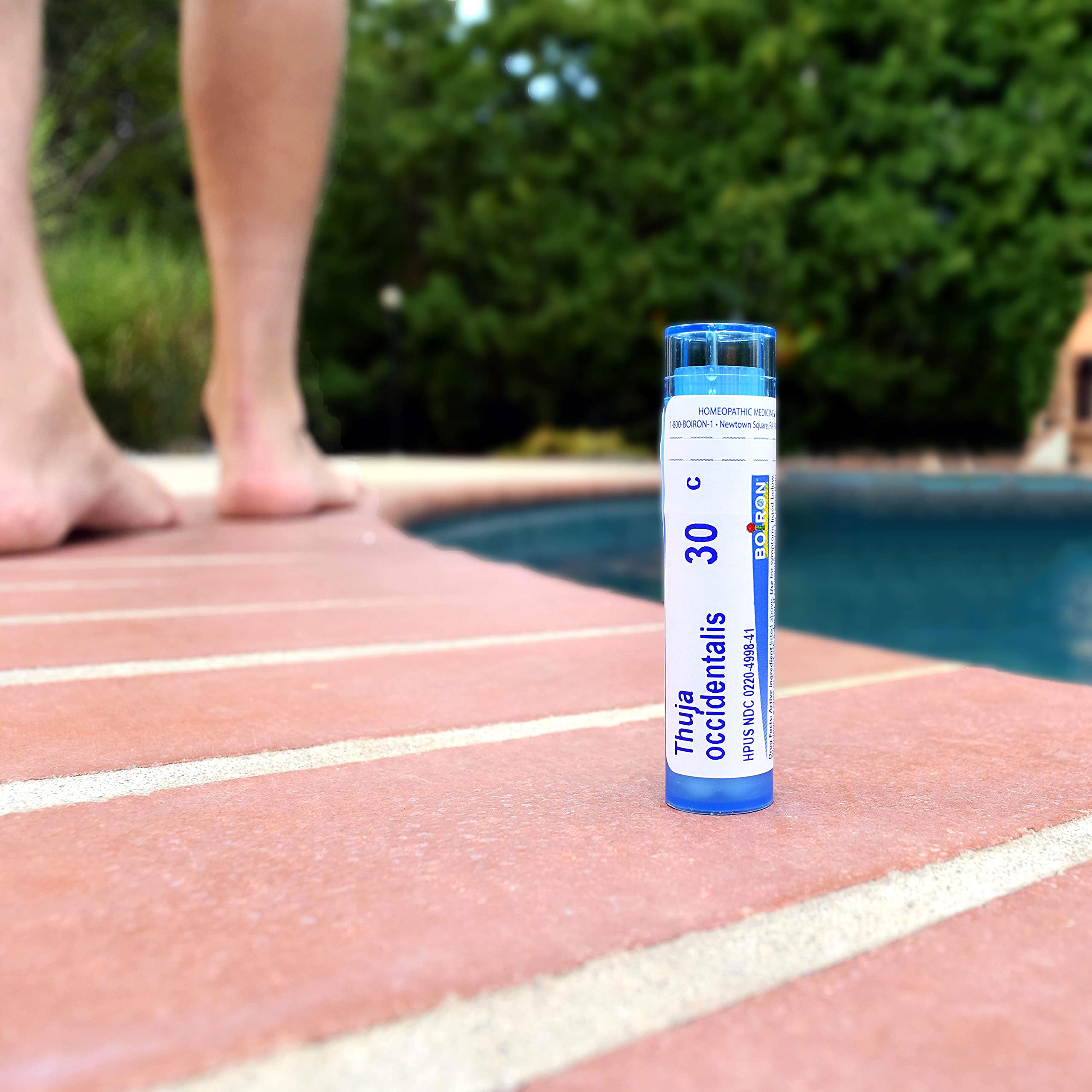 Buy Boiron Thuja Occidentalis 30C Wart Removal Homeopathic Medicine for