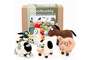Wool Buddy: Limitless Creativity, Limitless Joy