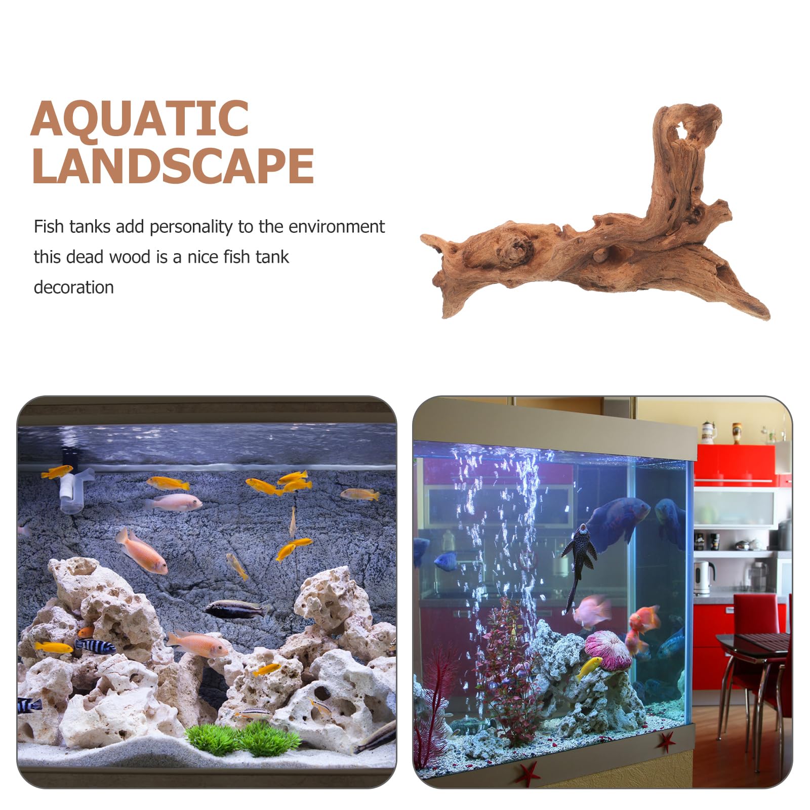 FOMIYES Legno sommerso per acquario, legno di mangrovie naturale, per acquari, legno morto per acquari, decorazioni in legno, ananas e legno morto ornamenti in legno