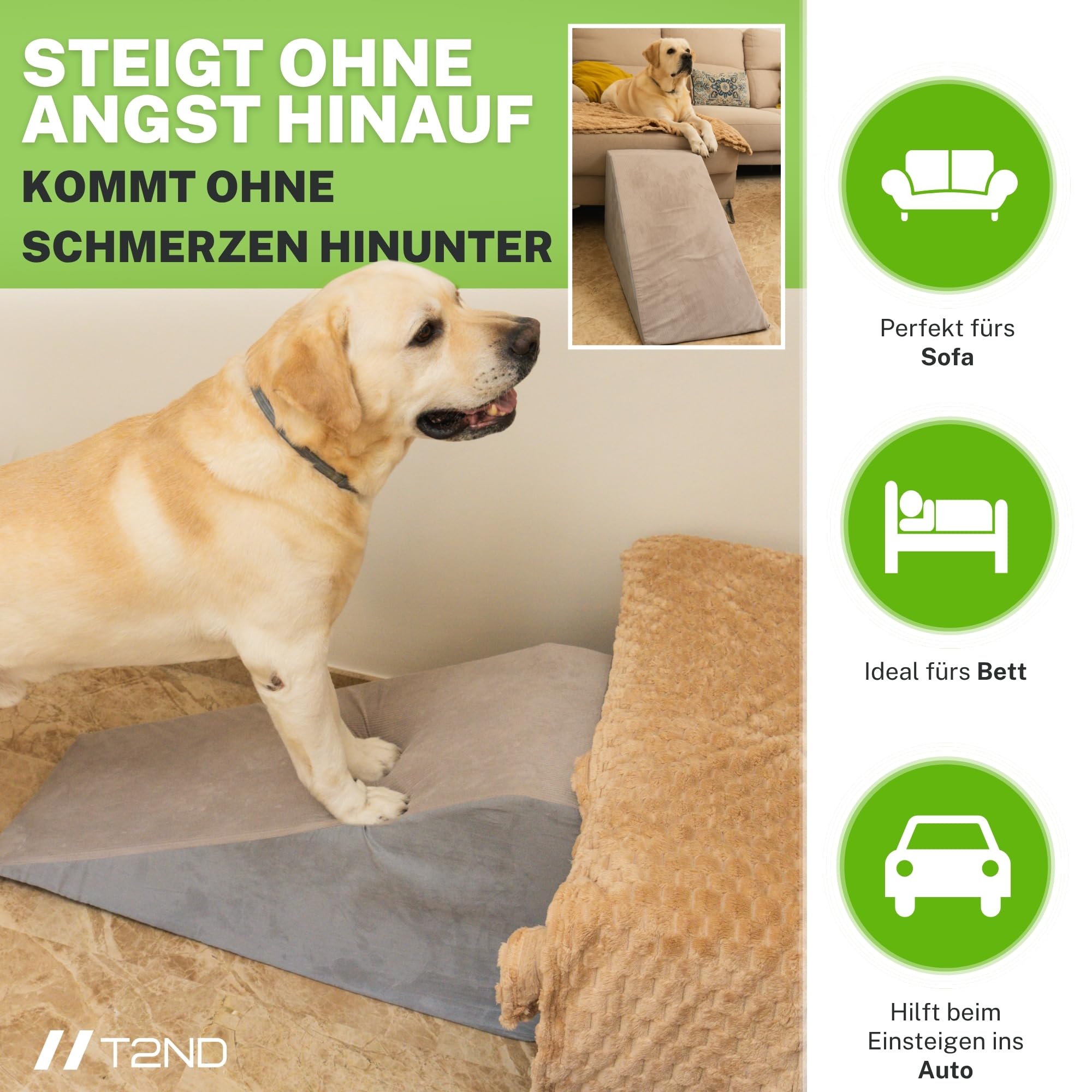 Hunderampe Sofa und Bett – Hundetreppe für kleine und große Hunde – Katzentreppe – Abnehmbarer und waschbarer Bezug – Rutschfester Boden – Rampe Hund – 40 cm Hoch