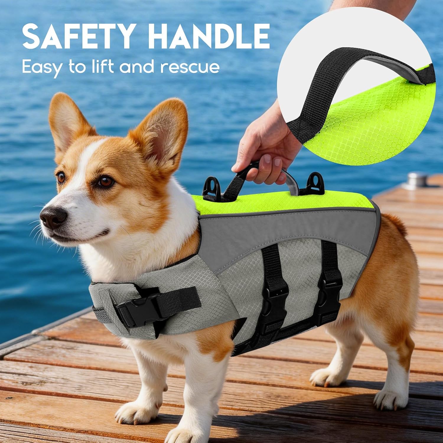 ASENKU Dog Life Jacket with Reflective Stripes, Adjustable High Visibility Dog Safety Vest, Ripstop Lifesaver, Pet Preserver with High Flotation Swimsuit for Small, Medium and Large Dogs (Green, L)