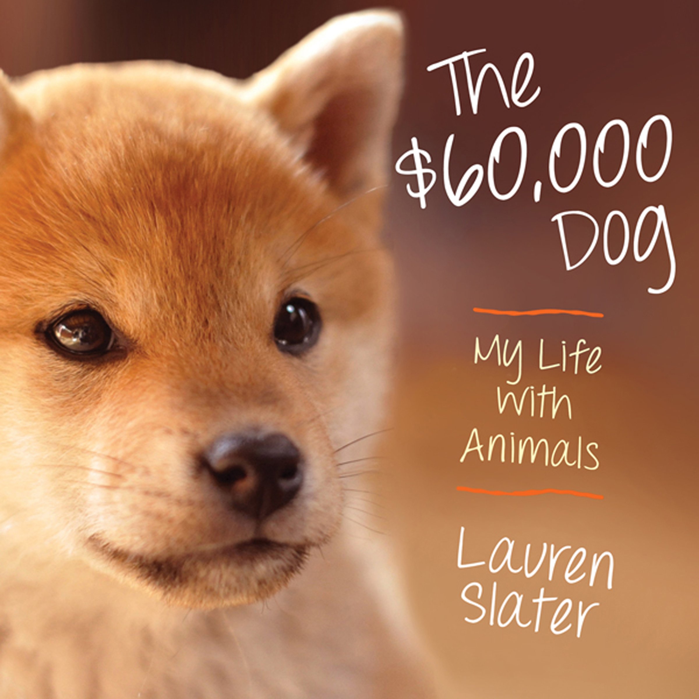Cover art for The $60,000 Dog