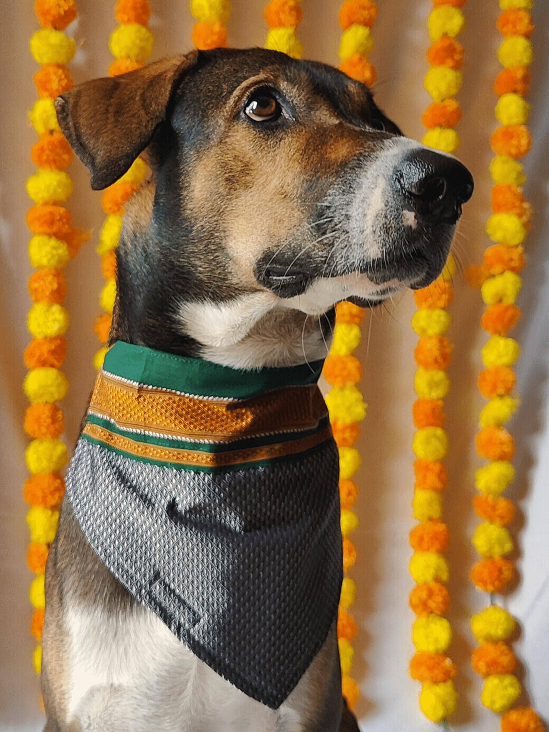 Unleashed India Khun Bandanas. Traditional Khun Fabric for Festive Season, Weddings. Easy Collar Insert, Washable Ethnic Bandana for All Dog Types and Cats. Grey Color (Extra Small) (B0CKX7SMGZ) Amazon Price History, Amazon Price Tracker