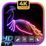 Neon Peacock: Buzzing Lights & Cyber Ambience Electric Hum Art